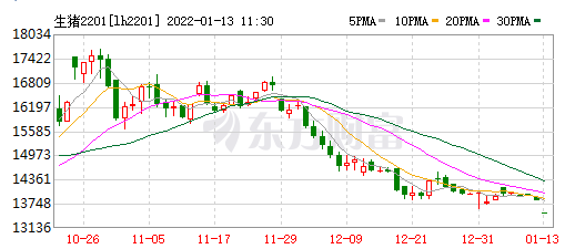 2022.01.13今日猪价及畜牧资讯