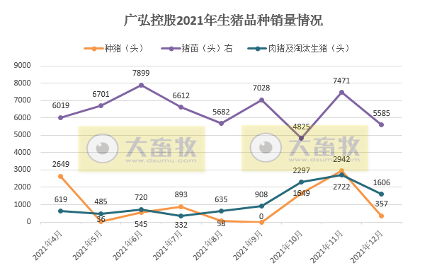广弘控股2021年度生猪和鸡苗销售情况