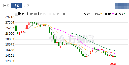 2022.01.16今日猪价及畜牧资讯