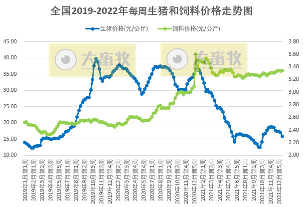 2022.01.17今日猪价及畜牧资讯