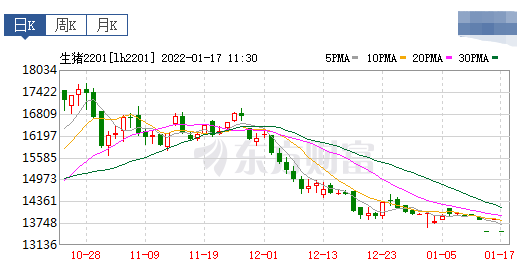 2022.01.17今日猪价及畜牧资讯