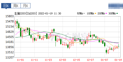 2022.01.19-今日猪价及畜牧资讯