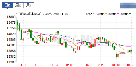 2022.01.20-今日猪价及畜牧资讯