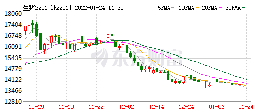 2022.01.24-今日猪价及畜牧资讯
