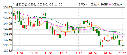 2022.01.26-今日猪价及畜牧资讯