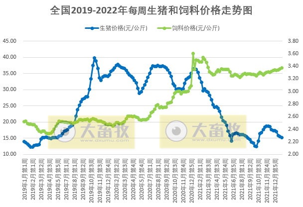 2022.01.31-今日猪价及畜牧资讯