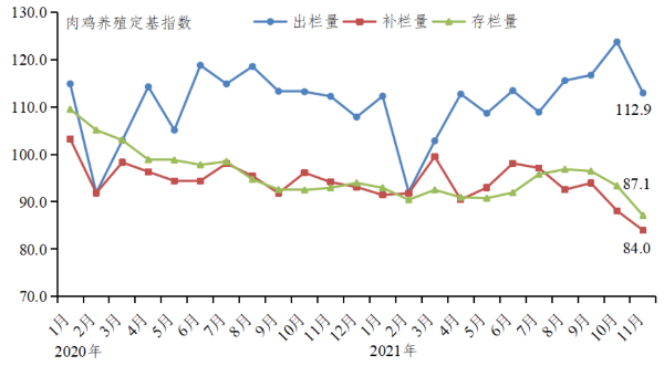 2021年11月广东省家禽产销形势分析