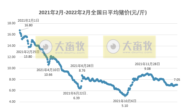 2022.02.05-今日猪价及畜牧资讯