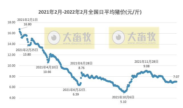 2022.02.06-今日猪价及畜牧资讯
