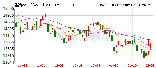 2022.02.08-今日猪价及畜牧资讯