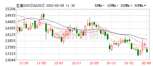 2022.02.09-今日猪价及畜牧资讯