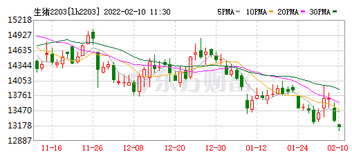 2022.02.10-今日猪价及畜牧资讯