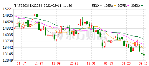 2022.02.11-今日猪价及畜牧资讯