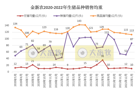 金新农2022年1月生猪销售情况及近期生产指标