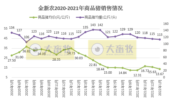 金新农2022年1月生猪销售情况及近期生产指标