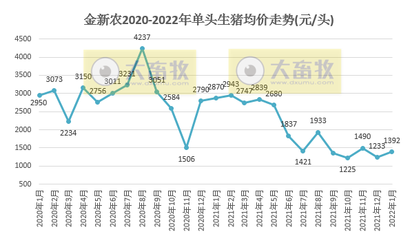 金新农2022年1月生猪销售情况及近期生产指标