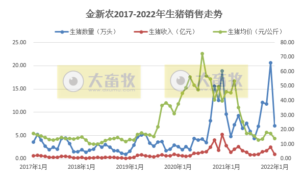 金新农2022年1月生猪销售情况及近期生产指标