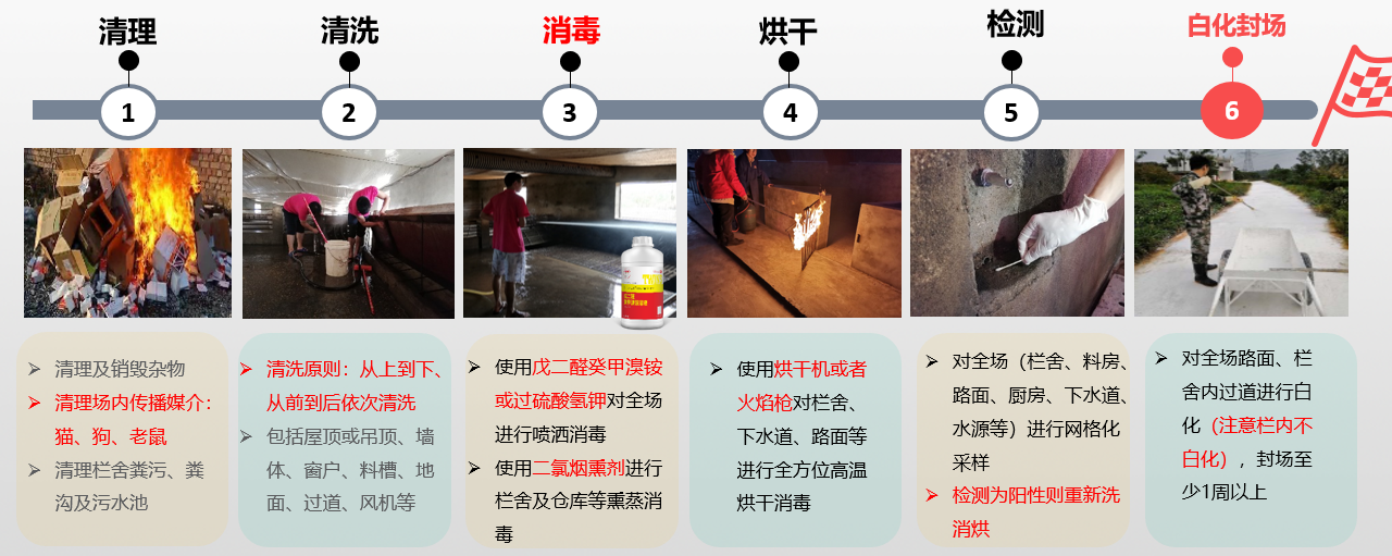 双胞胎推出一种新的养猪模式,828合伙养猪,又拿代养费又分红