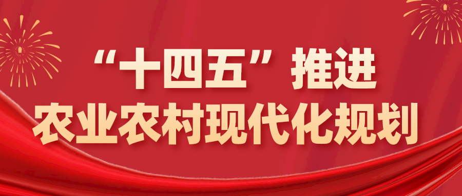 “十四五”推进农业农村现代化规划（全文）