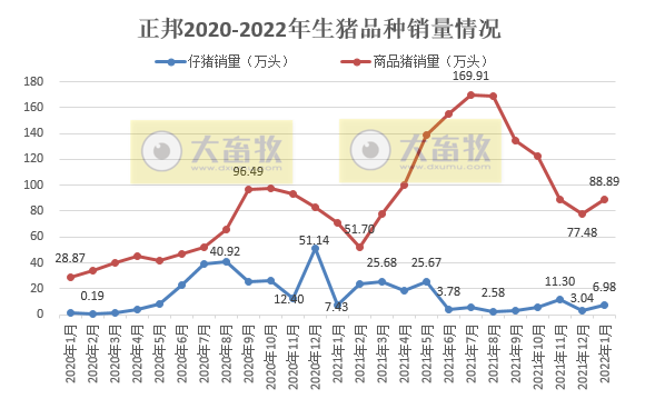 正邦科技2022年1月生猪销售情况