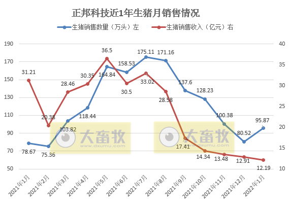 正邦科技2022年1月生猪销售情况