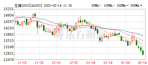 2022.02.14-今日猪价及畜牧资讯