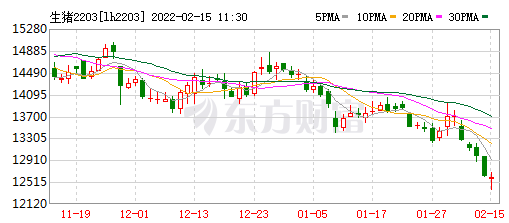 2022.02.15-今日猪价及畜牧资讯
