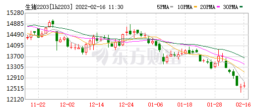 2022.02.16-今日猪价及畜牧资讯