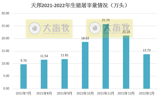 天邦股份2022年1月生猪销售情况