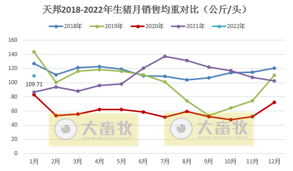 天邦股份2022年1月生猪销售情况