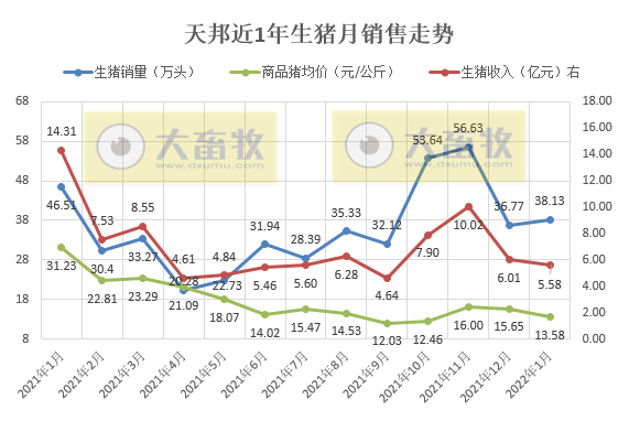 天邦股份2022年1月生猪销售情况