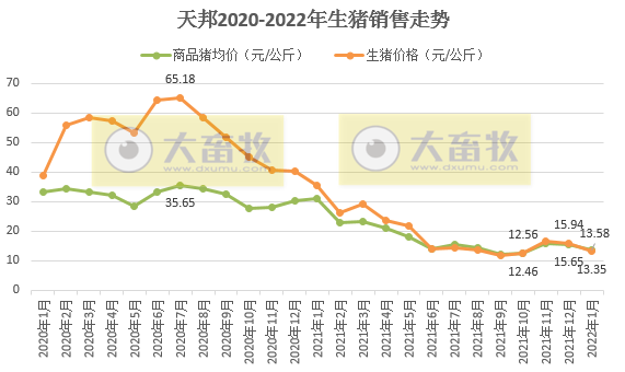 天邦股份2022年1月生猪销售情况