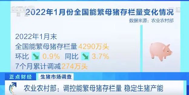2022.02.19-今日猪价及畜牧资讯