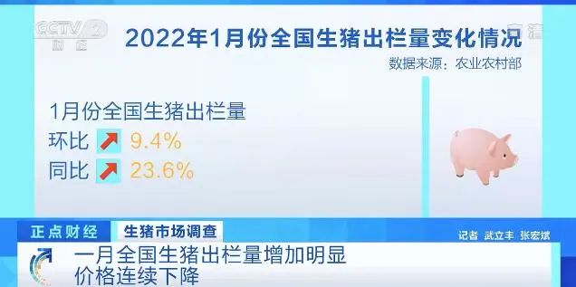 2022.02.19-今日猪价及畜牧资讯