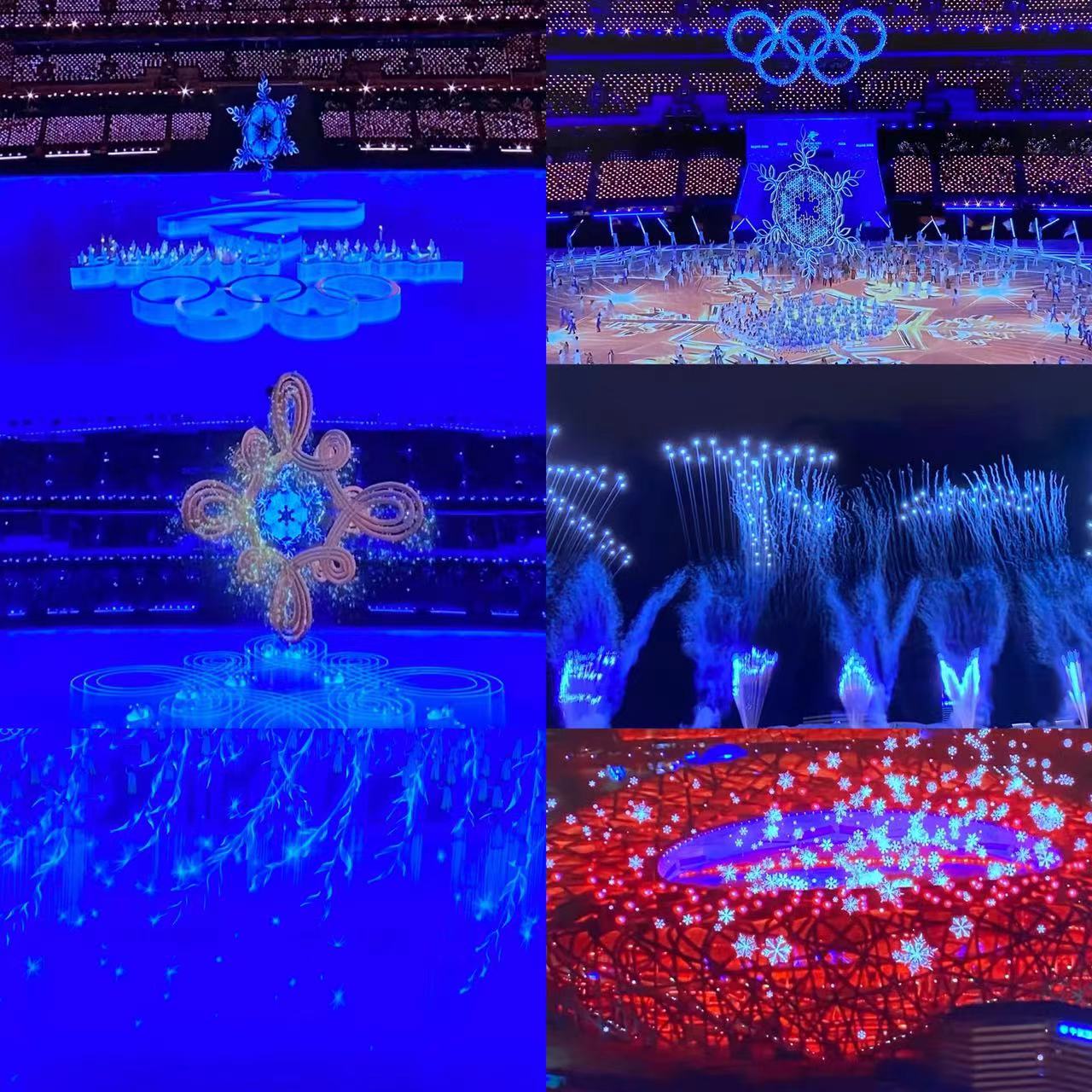 2022.02.21-今日猪价及畜牧资讯