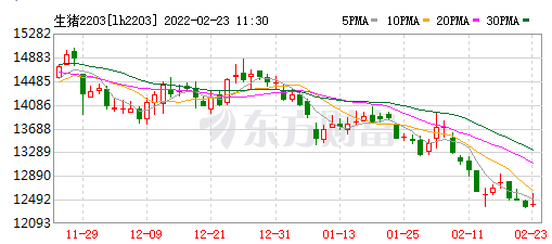 2022.02.23-今日猪价及畜牧资讯