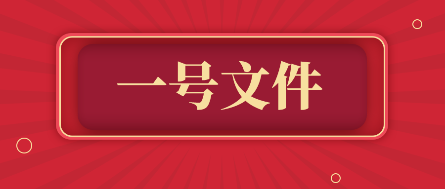 2025年中央一号文件《关于进一步深化农村改革扎实推进乡村全面振兴的意见》
