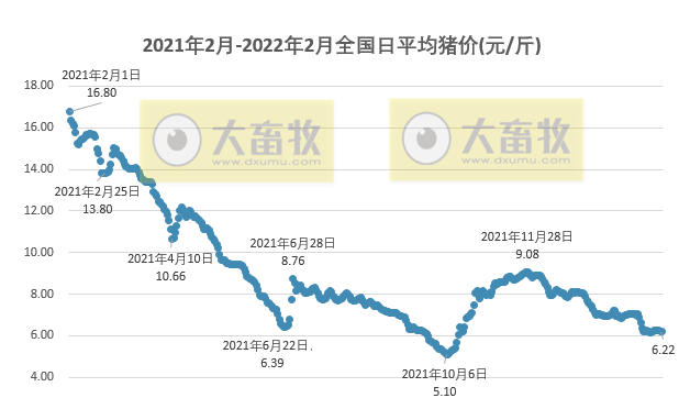 2022.02.24-今日猪价及畜牧资讯