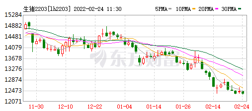 2022.02.24-今日猪价及畜牧资讯
