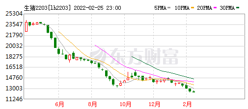 2022.02.27-今日猪价继续维稳，俄乌局势会影响中国玉米出现较大缺口吗？受新冠和国际形势影响，今年该如何规划养猪？