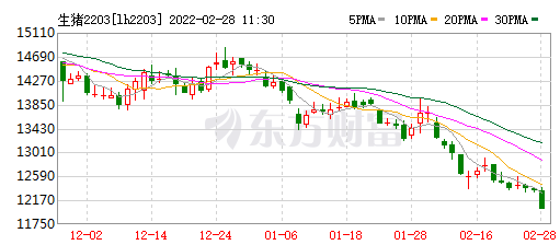 2022.02.28-今日猪价继续维稳，已连续3个月猪价下跌，还会跌多久？温氏亏损133亿但迎来441位投资者调研