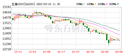 2022.03.10-今日猪价东北止跌反弹,饲料持续上涨卖一头猪亏200元!玉米价格将高位运行;林印孙建议加大对生猪养殖企业信贷投入;新希望前2月生猪销量同增59%