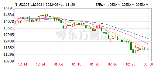 2022.03.11-今日猪价东北继续全面上涨，有代表建议规范楼房养猪手续，将数字化、智能化养殖设备列入农机购置补贴；大北农回应关注函；多家企业2月销售出炉