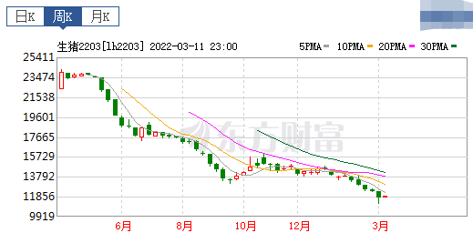 2022.03.13-今日猪价稳中带跌，玉米价格一天一涨，饲料销量同降30%，还会涨多久？目前生猪去产能情况如何？大北农今年生猪出栏量以稳为主