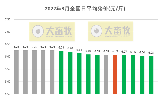 2022.03.16-今日猪价以稳为主,仔猪价格连跌13周,豆粕连5周刷新最高纪录;生猪严重亏损,你的资金链能稳住吗?四川今年生猪出栏量稳定在6000万头