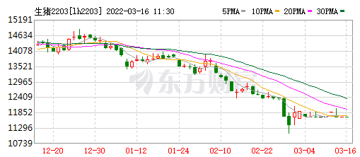 2022.03.16-今日猪价以稳为主,仔猪价格连跌13周,豆粕连5周刷新最高纪录;生猪严重亏损,你的资金链能稳住吗?四川今年生猪出栏量稳定在6000万头