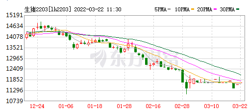 2022.03.22-今日猪价止跌反弹，超半数省份出现上涨；猪价低谷期，后期还存在哪些风险需关注？生猪股和期货双双翻红
