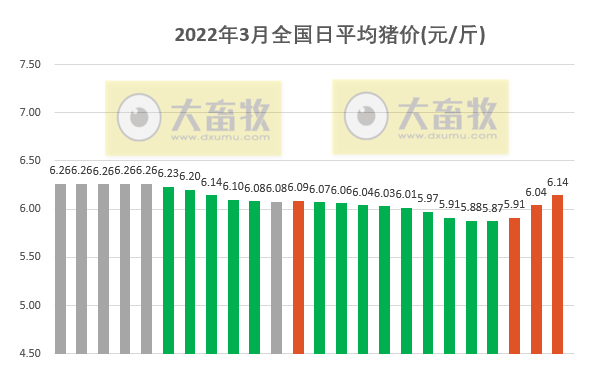 2022.03.24-今日猪价继续大涨,屠企收猪价连续6周下跌,豆粕价格逼近5000元大关;牧原养猪成本小幅上升,能繁母猪存栏量稳定