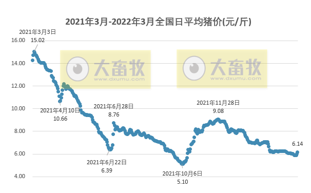 2022.03.24-今日猪价继续大涨,屠企收猪价连续6周下跌,豆粕价格逼近5000元大关;牧原养猪成本小幅上升,能繁母猪存栏量稳定