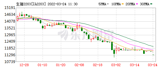 2022.03.24-今日猪价继续大涨,屠企收猪价连续6周下跌,豆粕价格逼近5000元大关;牧原养猪成本小幅上升,能繁母猪存栏量稳定